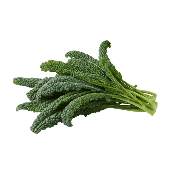 CAVOLO NERO