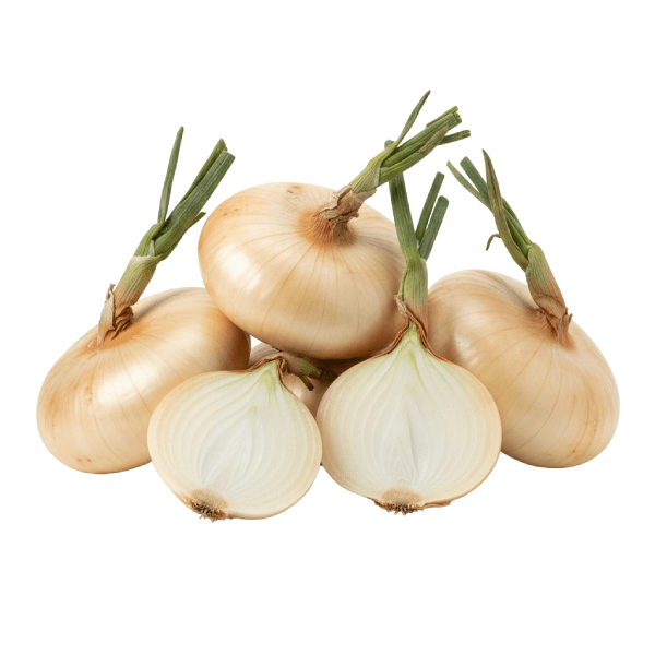 CIPOLLA DI GIARRATANA