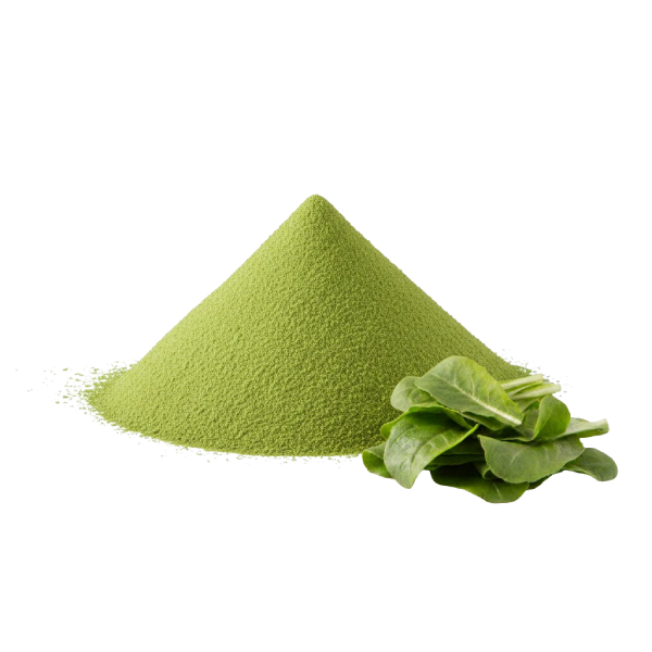 FARINA DI CICORIA ESSICCATE