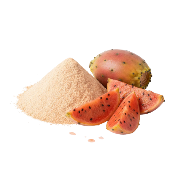 FARINA DI FICO D'INDIA