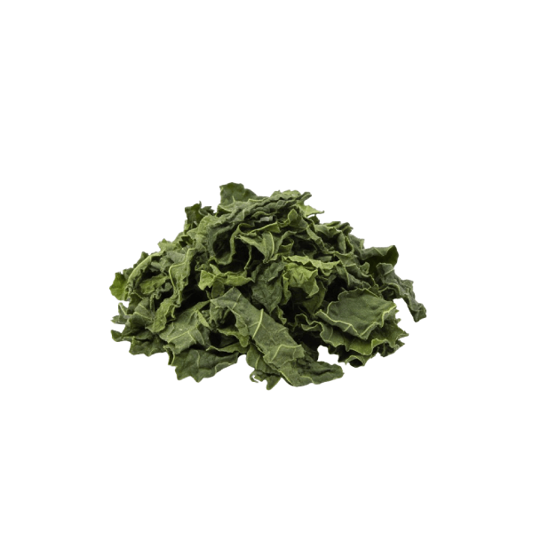 cavolo nero essiccato